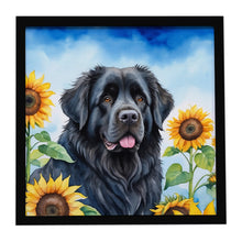 Load image into Gallery viewer, Newfoundland in Sunflowers Framed Metal Print