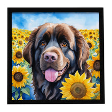 Load image into Gallery viewer, Newfoundland in Sunflowers Framed Metal Print
