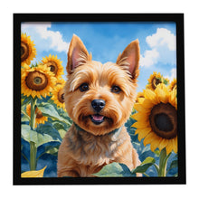 Load image into Gallery viewer, Norwich Terrier in Sunflowers Framed Metal Print