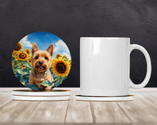 Load image into Gallery viewer, Norwich Terrier in Sunflowers Large Sandstone Coasters Pack of 4