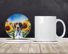 Load image into Gallery viewer, Pointer in Sunflowers Large Sandstone Coasters Pack of 4