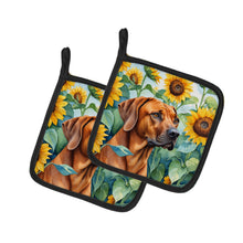 Load image into Gallery viewer, Rhodesian Ridgeback in Sunflowers Pot Holders - Set of 2 Decorative Kitchen Helpers | Made in the USA