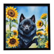 Load image into Gallery viewer, Schipperke in Sunflowers Framed Metal Print