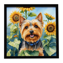 Load image into Gallery viewer, Silky Terrier in Sunflowers Framed Metal Print