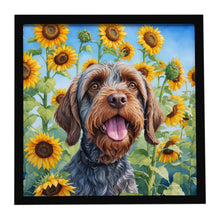 Load image into Gallery viewer, Wirehaired Pointing Griffon in Sunflowers Framed Metal Print