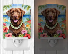 Load image into Gallery viewer, Chesapeake Bay Retriever Luau Ceramic Night Light