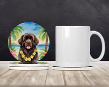 Load image into Gallery viewer, Newfoundland Luau Large Sandstone Coasters Pack of 4