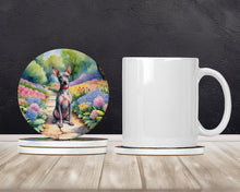 Load image into Gallery viewer, American Hairless Terrier Spring Garden Large Sandstone Coasters Pack of 4