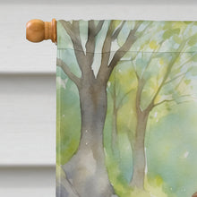 Load image into Gallery viewer, American Water Spaniel Spring Path House Flag