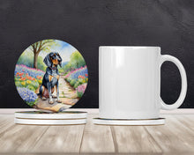 Load image into Gallery viewer, Bluetick Coonhound Spring Path Large Sandstone Coasters Pack of 4