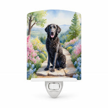 Load image into Gallery viewer, Curly-Coated Retriever Spring Path Ceramic Night Light Compact, UL-Certified, Ideal for Bedroom, Bathroom, Nursery, Hallway, Kitchen, 6x4x3, Multicolor