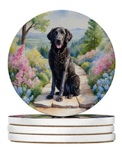 Load image into Gallery viewer, Curly-Coated Retriever Spring Path Large Sandstone Coasters Pack of 4