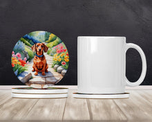 Load image into Gallery viewer, Dachshund Spring Path Large Sandstone Coasters Pack of 4