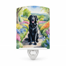 Load image into Gallery viewer, Flat-Coated Retriever Spring Path Ceramic Night Light Compact, UL-Certified, Ideal for Bedroom, Bathroom, Nursery, Hallway, Kitchen, 6x4x3, Multicolor