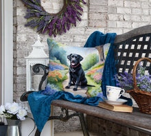 Load image into Gallery viewer, Labrador Retriever Spring Path Throw Pillow