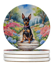 Load image into Gallery viewer, Miniature Pinscher Spring Path Large Sandstone Coasters Pack of 4