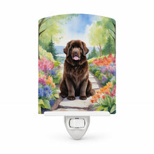 Load image into Gallery viewer, Newfoundland Spring Path Ceramic Night Light Compact, UL-Certified, Ideal for Bedroom, Bathroom, Nursery, Hallway, Kitchen, 6x4x3, Multicolor