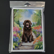 Load image into Gallery viewer, Newfoundland Spring Path Greeting Cards - Blank Note Cards – 8-Pack of Artist-Designed Cards with Envelopes