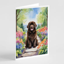 Load image into Gallery viewer, Newfoundland Spring Path Greeting Cards - Blank Note Cards – 8-Pack of Artist-Designed Cards with Envelopes