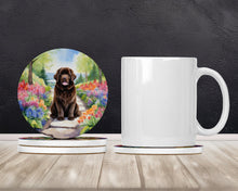 Load image into Gallery viewer, Newfoundland Spring Path Large Sandstone Coasters Pack of 4