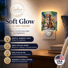 Load image into Gallery viewer, Nova Scotia Duck Tolling Retriever Spring Path Ceramic Night Light Compact, UL-Certified, Ideal for Bedroom, Bathroom, Nursery, Hallway, Kitchen, 6x4x3, Multicolor