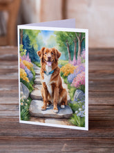 Load image into Gallery viewer, Nova Scotia Duck Tolling Retriever Spring Path Greeting Cards - Blank Note Cards – 8-Pack of Artist-Designed Cards with Envelopes