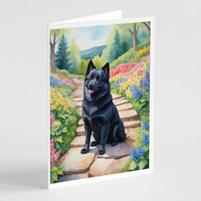 Load image into Gallery viewer, Schipperke Spring Path Greeting Cards - Blank Note Cards – 8-Pack of Artist-Designed Cards with Envelopes