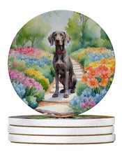 Load image into Gallery viewer, Weimaraner Spring Path Large Sandstone Coasters Pack of 4