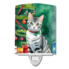 Load image into Gallery viewer, American Shorthair Cat By the Christmas Tree Ceramic Night Light