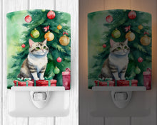 Load image into Gallery viewer, Li Hua Cat By the Christmas Tree Ceramic Night Light