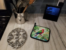 Load image into Gallery viewer, Eclectus Parrot Pot Holders - Set of 2 Decorative Kitchen Helpers | Made in the USA