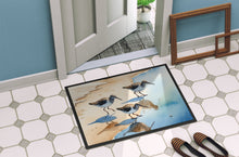 Load image into Gallery viewer, Sandpipers Doormat-24x36 Indoor / Outdoor Rug | Made in USA