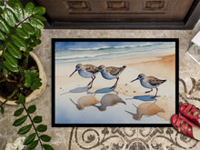 Load image into Gallery viewer, Sandpipers Doormat-24x36 Indoor / Outdoor Rug | Made in USA