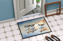 Load image into Gallery viewer, Sandpipers Doormat - 18X27 Indoor / Outdoor Rug | Made in USA
