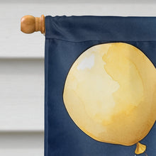 Load image into Gallery viewer, Pug Happy Birthday House Flag