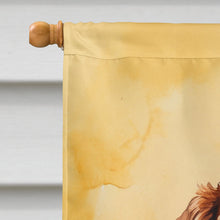 Load image into Gallery viewer, Welsh Springer Spaniel Happy Birthday House Flag