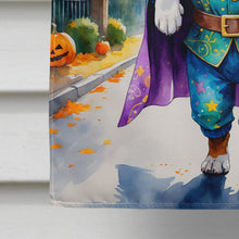Load image into Gallery viewer, Boxer Halloween Trick or Treat House Flag