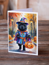 Load image into Gallery viewer, Black Chow Chow Halloween Trick or Treat Greeting Cards Pack of 8