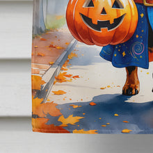 Load image into Gallery viewer, Dachshund Halloween Trick or Treat House Flag