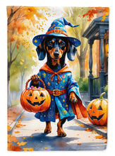 Load image into Gallery viewer, Dachshund Halloween Trick or Treat House Flag