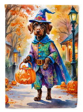 Load image into Gallery viewer, German Wirehaired Pointer Halloween Trick or Treat Garden Flag