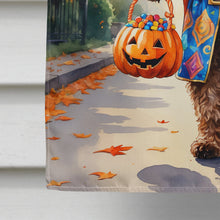 Load image into Gallery viewer, Chocolate Labradoodle Halloween Trick or Treat House Flag