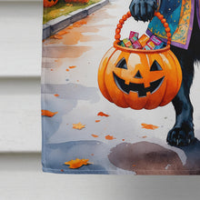 Load image into Gallery viewer, Black Labrador Retriever Halloween Trick or Treat House Flag