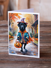 Load image into Gallery viewer, Black Labrador Retriever Halloween Trick or Treat Greeting Cards Pack of 8