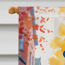 Load image into Gallery viewer, Chocolate Newfoundland Halloween Trick or Treat House Flag