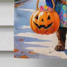 Load image into Gallery viewer, Chocolate Newfoundland Halloween Trick or Treat House Flag
