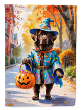 Load image into Gallery viewer, Chocolate Newfoundland Halloween Trick or Treat House Flag