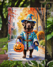 Load image into Gallery viewer, Chocolate Newfoundland Halloween Trick or Treat Garden Flag