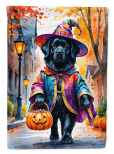 Load image into Gallery viewer, Newfoundland Halloween Trick or Treat House Flag