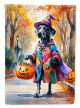 Load image into Gallery viewer, Weimaraner Halloween Trick or Treat Garden Flag